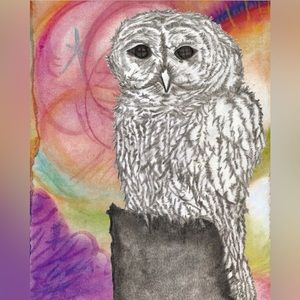 ɢᴜɪᴅᴀɴᴄᴇ *ᴠɪsɪᴏɴᴀʀʏ ᴠᴜʟɴᴇʀᴀʙɪʟɪᴛʏ ᴄᴏʟʟᴇᴄᴛɪᴏɴ*
8x10 print of Original Artwork